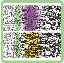 young and mature cells in Arabidopsis thaliana